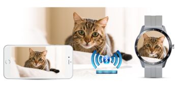 527a631c3c797460b01dda6cd5802b65