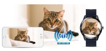 11_max-31.jpg ff968cd9161e644f9a2e0c1ebcdacb63