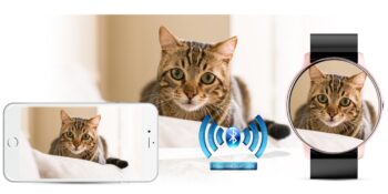 ffe501ae065eededbc6b31798c0655fc