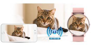 24429cf9fb9b4d9acbb9a7c4c184dc23