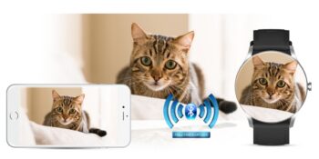 79_max-13.jpg cda7850d72bac897c49183a5f7cb2d6e